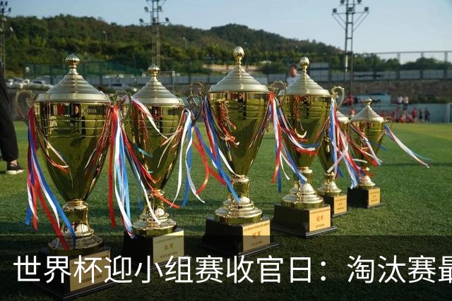 世界杯迎小组赛收官日：淘汰赛最后四席将从八队中产生