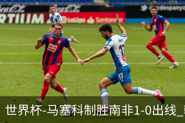 世界杯-马塞科制胜南非1-0出线 韩国积3分获小组第三待定
