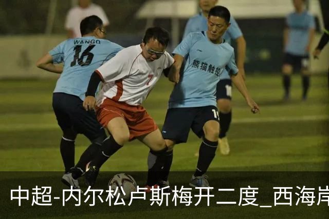 中超-内尔松卢斯梅开二度 西海岸3-1浙江12轮不败